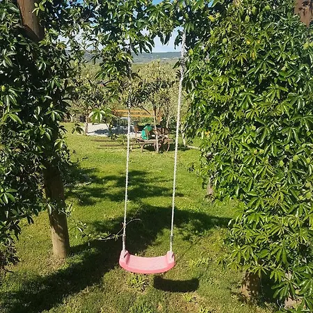 Quinta Vale Da Corga * Murça