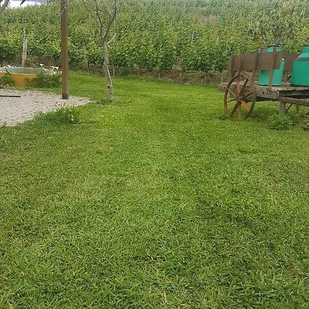 Prázdninový dům Quinta Vale Da Corga Murça