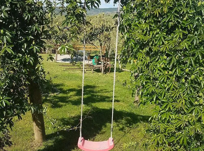 Quinta Vale Da Corga * Murça