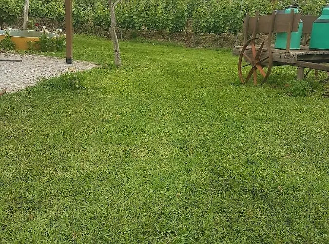 度假居 Quinta Vale Da Corga Murça